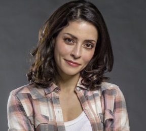 Emmanuelle Vaugier Wiki, Boyfriend, Dating, Married, Net Worth, Bio
