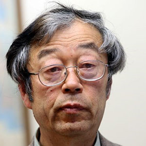 Satoshi Nakamoto Wiki, Identity, Net Worth